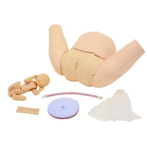 Obstetric Training Placenta