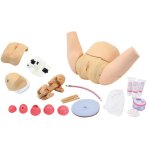 Obstetric Training 10 Umbilical Cords