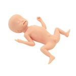 ELBW Infant Simulator