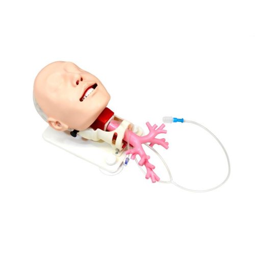 Schwieriges Atemwegsmanagement Simulator - Fiberbronchosskopie