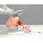 Schwieriges Atemwegsmanagement Simulator - Kopf