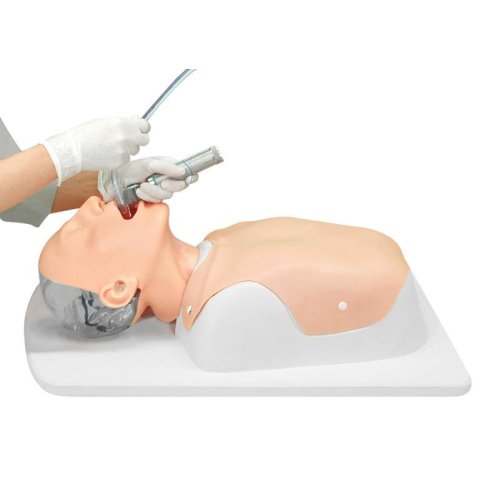 Schwieriges Atemwegsmanagement Simulator - Torso