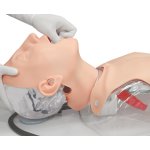 Schwieriges Atemwegsmanagement Simulator - Torso