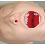 Schwieriges Atemwegsmanagement Simulator - Torso