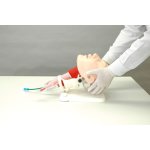 Face Mask for Difficult Airway Management Simulator - Head