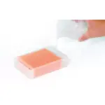 Introductory Ultrasound Training Blocks