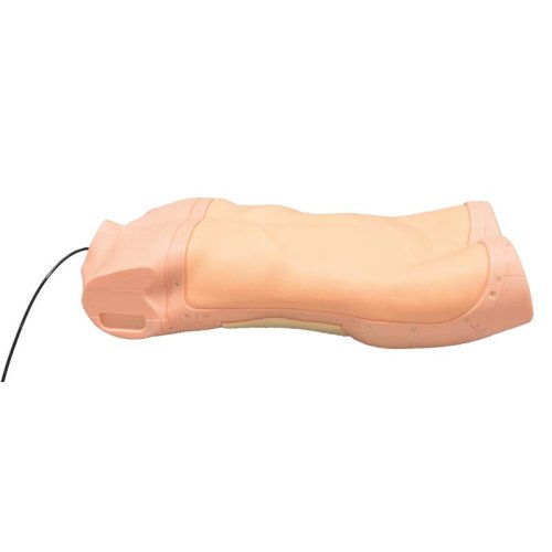 Abdominaler Untersuchungs-Simulator