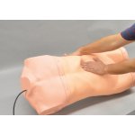 Abdominaler Untersuchungs-Simulator