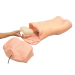Abdominaler Untersuchungs-Simulator