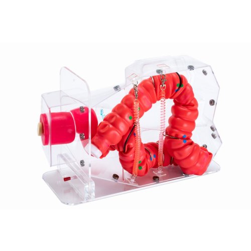 Colonoscope training 3D model