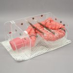 Colonoscope training 3D model