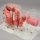 Colonoscope training 3D model