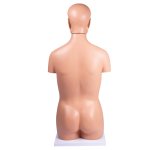 Torso, geschlechtslos, 12 Teile