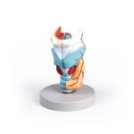Larynx Model, didactical, 2 times enlarged, 5 parts