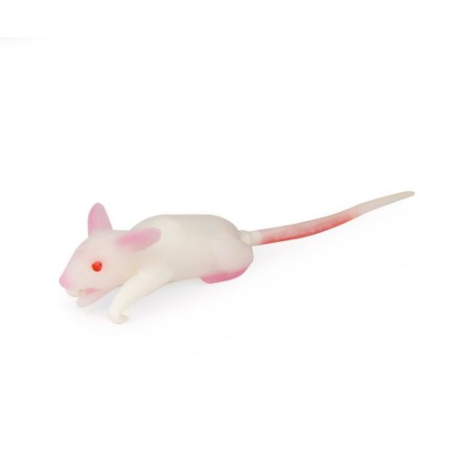Simulation model mouse