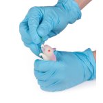 Simulation model mouse