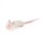 Simulation model mouse