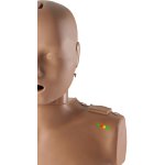 Prestan Take 2 - HLW + AED Trainer Set