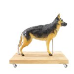 Hunde Modell (Schäferhund)