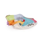Dog skull with didactic painting
