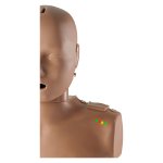 Prestan HLW-Torso mit Anzeige, 4er Pack