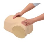 Uterus Rückbildungssimulator