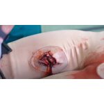 Casualty Care Rescue Randy