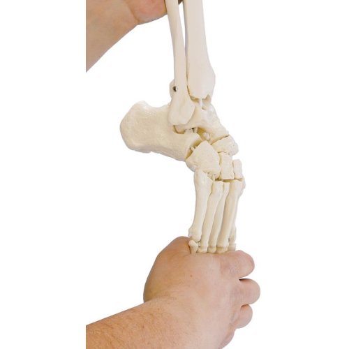 Option flexible foot