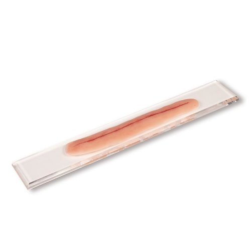 OP Wunde, 22cm
