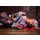 DANi Teenager und junge Erwachsene Erweiterter Skills Trainer