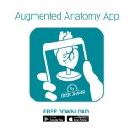 Anatomical brain half, life-size - EZ Augmented Anatomy