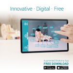 Anatomical brain half, life-size - EZ Augmented Anatomy