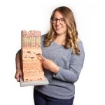 Stomach wall