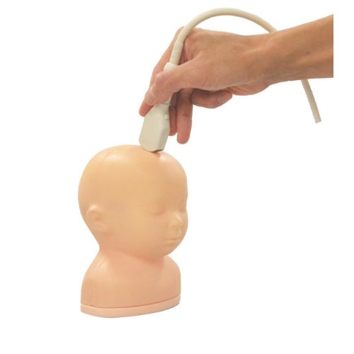 Neonatales Ultraschall-Übungsphantom Kopf