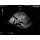 Neonatales Ultraschall-Übungsphantom Kopf
