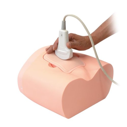 Intravesical Urine Volume Measurement Phantom