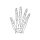 Rheumatisches Fingerphantom