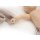 Newborn Care- and Emergency Manikin