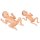 Premature Infant Model