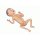 Premature Infant Model