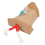 Koniotomie Trainer "Crico Chris"