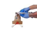 Koniotomie Trainer "Crico Chris"