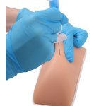 Übungsmodell intradermale, subkutane und intramuskuläre Injektion