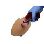 Amy Arm intraosseous task trainer