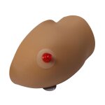 Amy Arm intraosseous task trainer