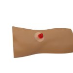 Louis Leg - intraossärer Task Trainer