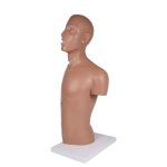NG-Sonden- und Tracheostomie Torso lebengroß