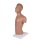 NG-Sonden- und Tracheostomie Torso lebengroß