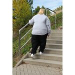 PAT Professioneller Adipositas Trainer
