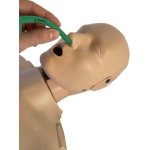 Prestan Pro+ HLW-Torso mit Anzeige